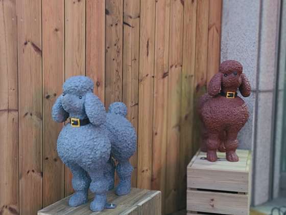 이현경애견미용학원