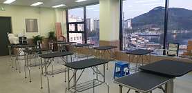 통영애견미용학원 사진 5