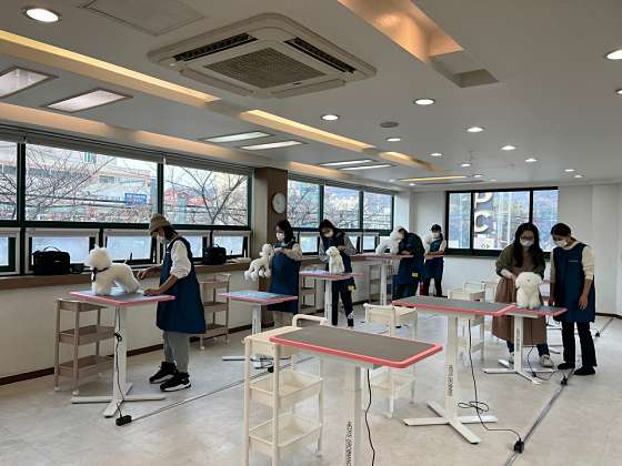 정애견미용학원 진해점