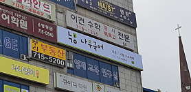 나무국어 사진 3