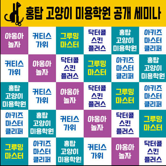 홍탑고양이미용학원 대표 이미지