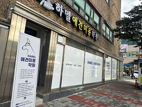 하멜애견미용학원 사진 3