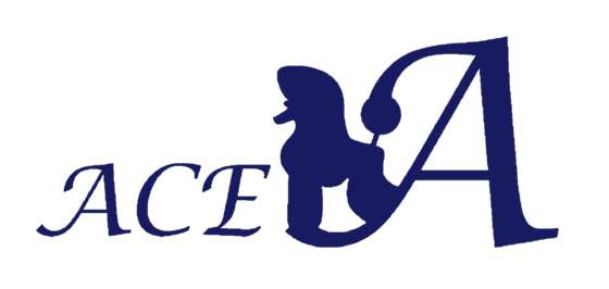 의정부 에이스애견미용학원