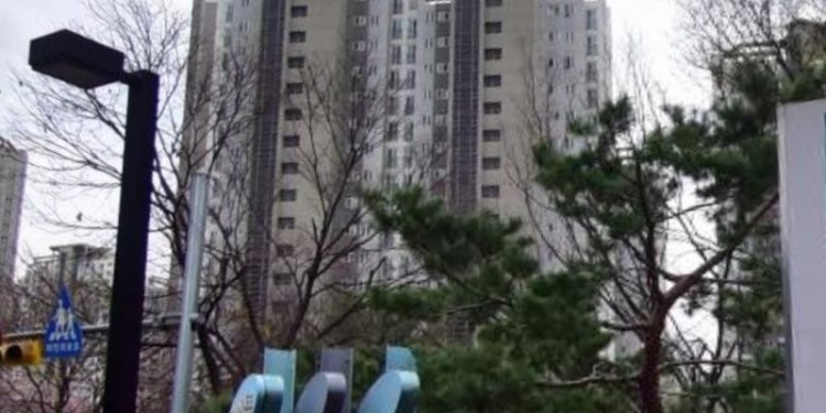 장미피아노 학원 대표 이미지