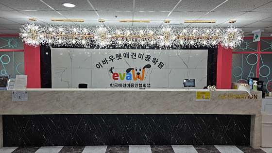 이바우펫애견미용학원 인천아카데미