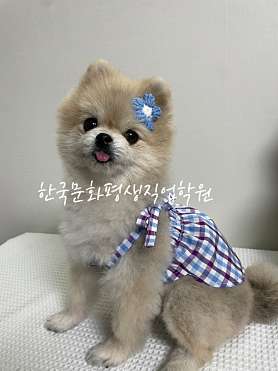 한국문화평생직업학원 사진 2