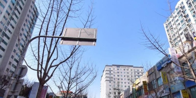 아첼음악학원 대표 이미지