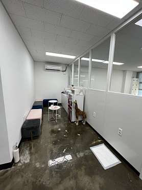 세종클래스애견미용학원 사진 5