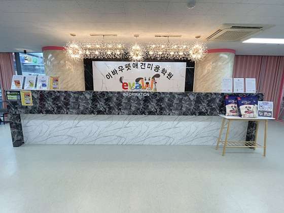 이바우펫애견미용학원 종로아카데미