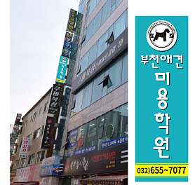 부천애견미용학원 사진 2