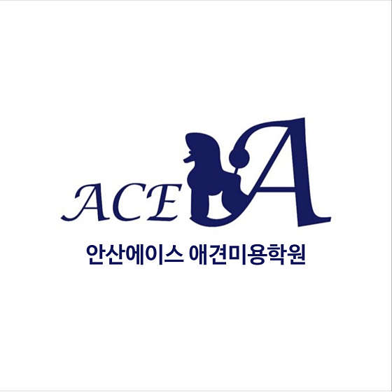 안산에이스애견미용학원 대표 이미지