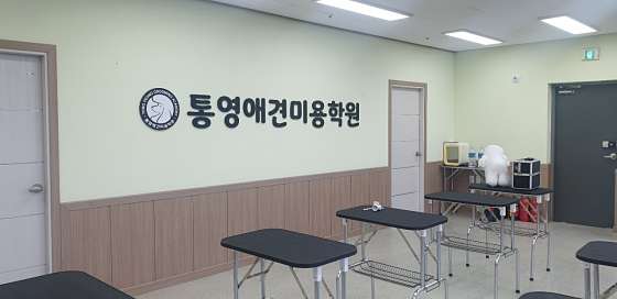 통영애견미용학원 대표 이미지