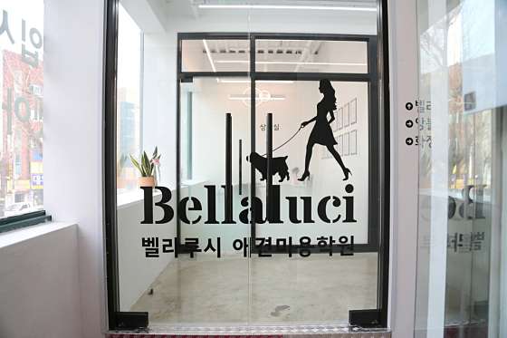 벨라루시애견미용학원 창원마산점 학원 대표 이미지