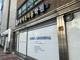 하멜애견미용학원 사진 5