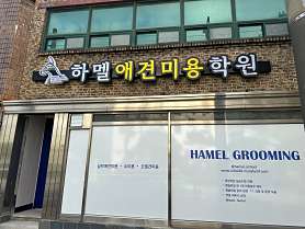 하멜애견미용학원 사진 2