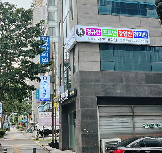 스케치애견미용학원