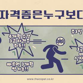 더코스펫에듀 프로 학원 사진 5