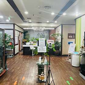 닥터박일본어학원 사진 5