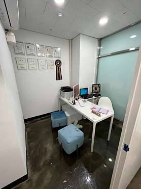 세종클래스애견미용학원 사진 4