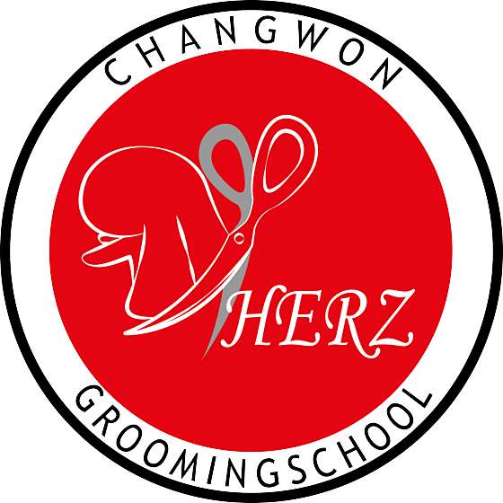 창원하츠애견미용학원