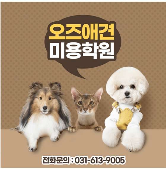 오즈애견미용학원 대표 이미지