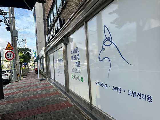 하멜애견미용학원 대표 이미지