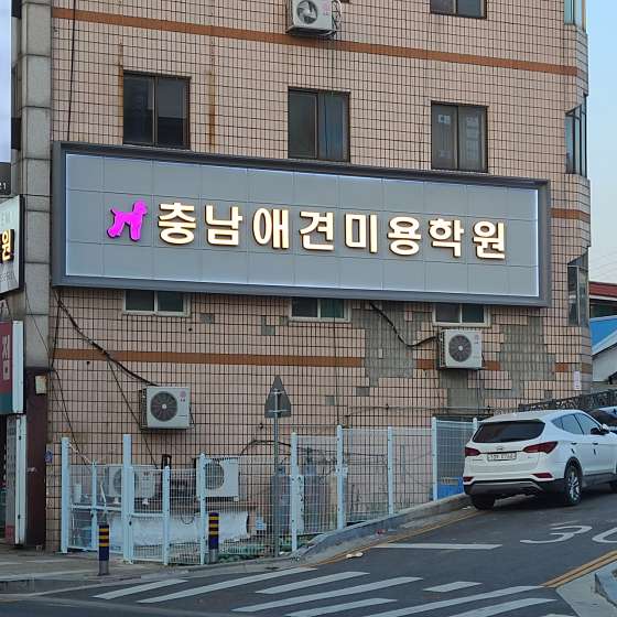 충남애견미용학원 대표 이미지