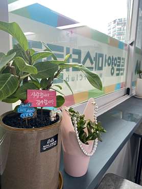 튼튼영어 마스터클럽 노원상계7단지점 사진 3