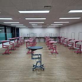 오즈애견미용학원 사진 5