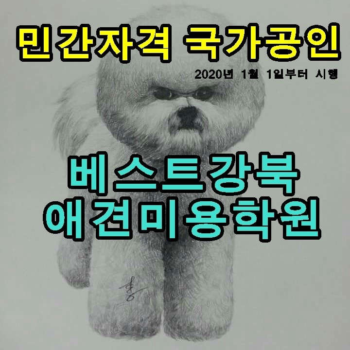 베스트 강북 애견 미용학원