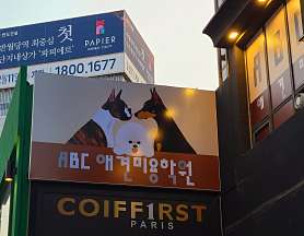 ABC애견미용학원 사진 2