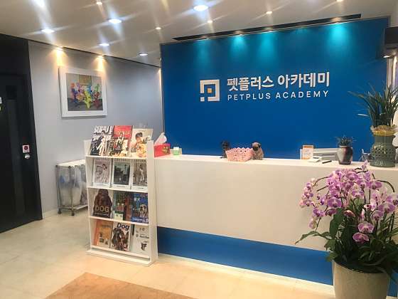펫플러스 아카데미 애견미용학원 대표 이미지