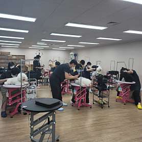 오즈애견미용학원 사진 4