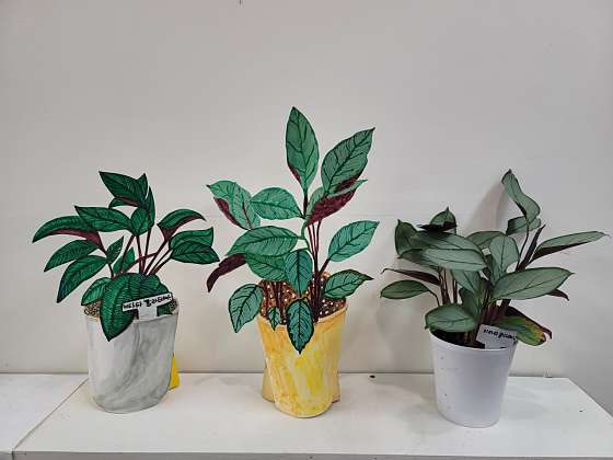 뮤아센 미술학원