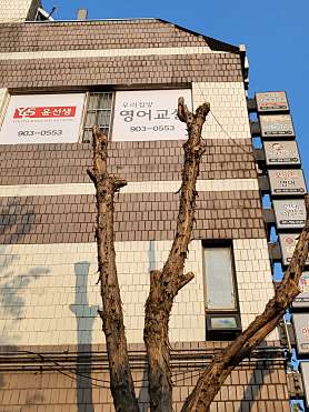 윤선생우리집앞영어교실 메이트수학 사진 4