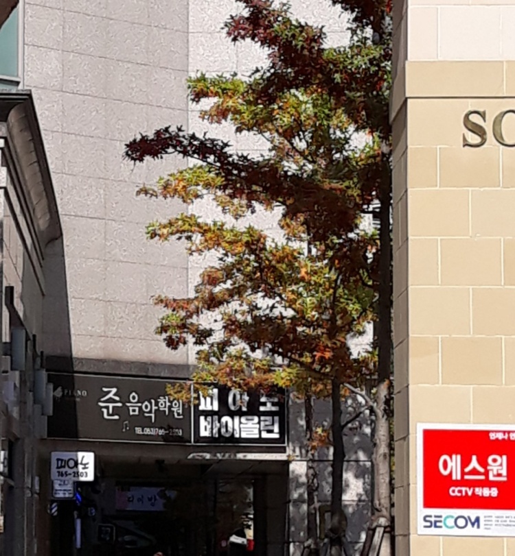 준음악학원 대표 이미지