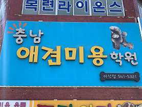 충남애견미용학원 사진 5
