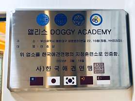 앨리스도기아카데미 사진 2