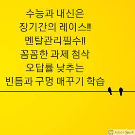 미사아이비영어 사진 4