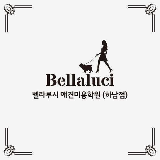 벨라루시애견미용학원 하남점 학원 대표 이미지