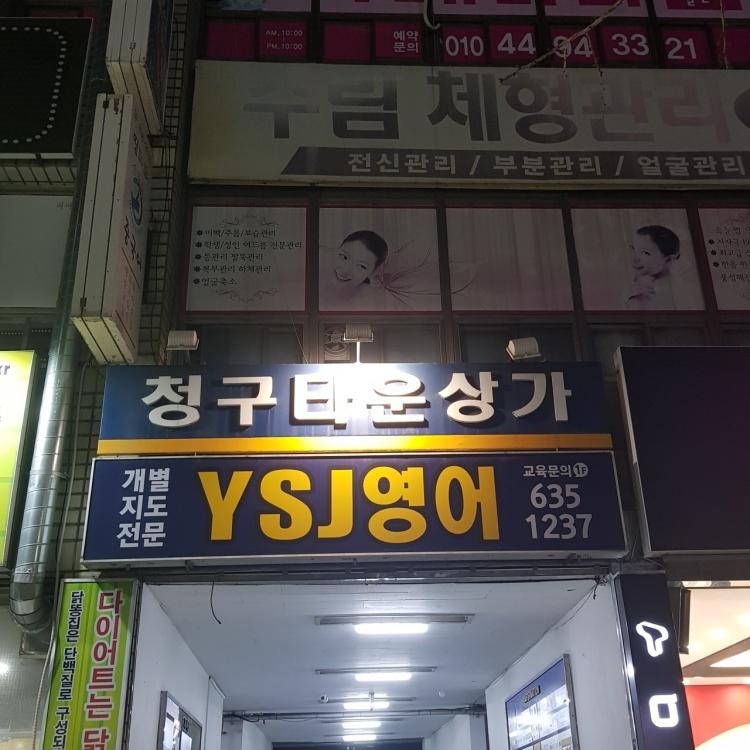 YSJ영어 학원 대표 이미지