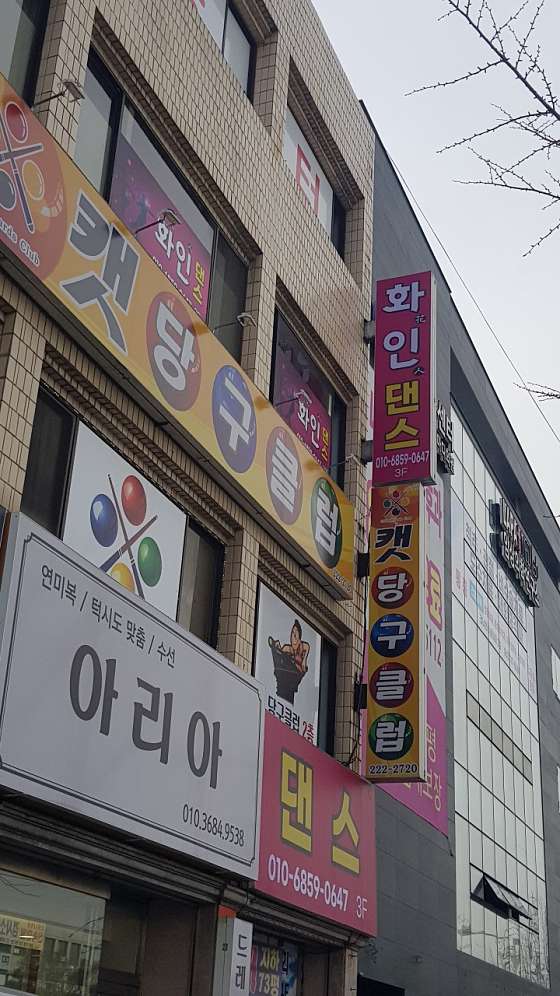 화인댄스