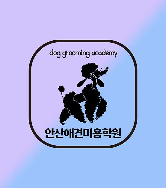 안산애견미용학원