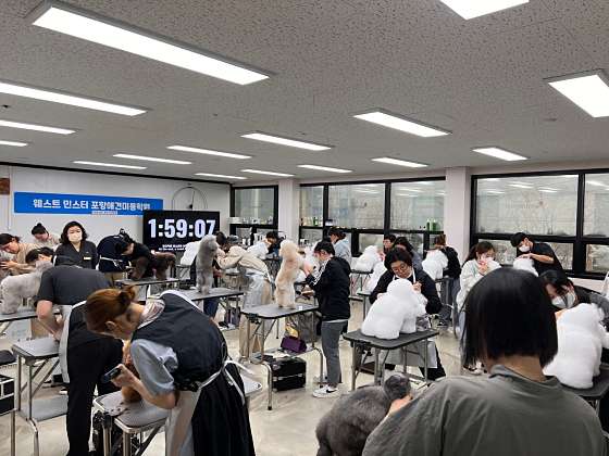 웨스트민스터포항애견미용학원