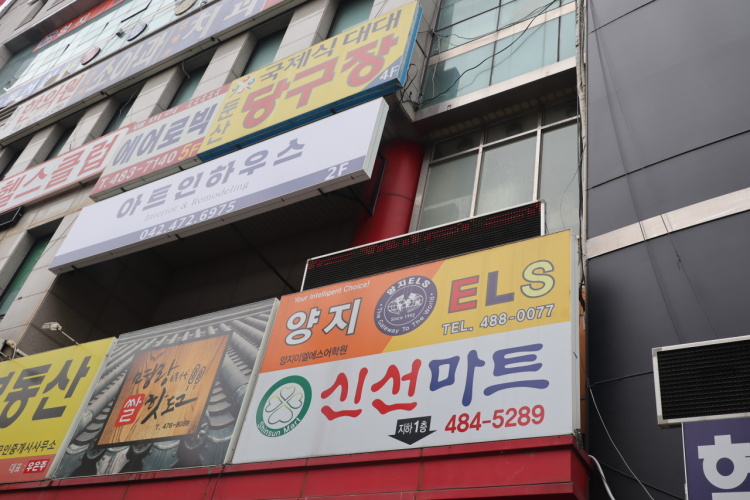 양지ELS어학원 대표 이미지