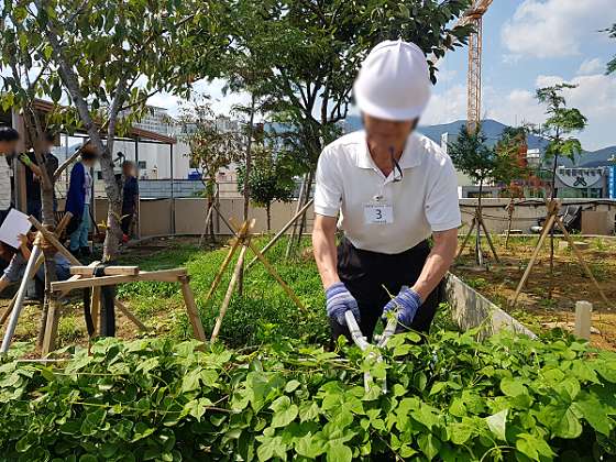 대한글로벌학원