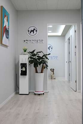 부천애견미용학원 사진 3