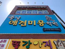 충남애견미용학원 사진 4