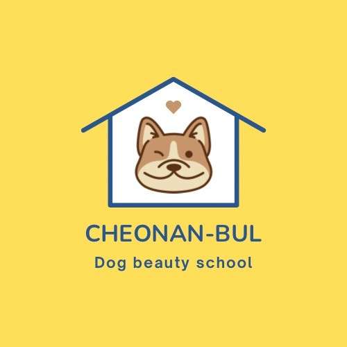 천안애견미용학원 서북구점 학원 대표 이미지