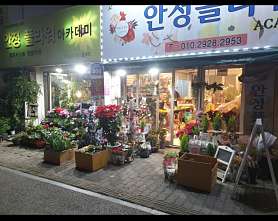 안정플로리스트종합예술학원 사진 5